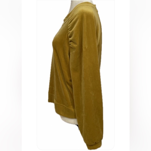 Nwt Sunday Saturday anthropologie velour top m - Picture 7 of 8